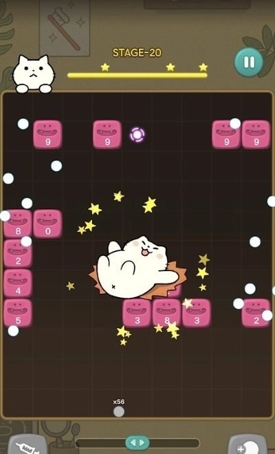 神秘的猫咪牙科图2