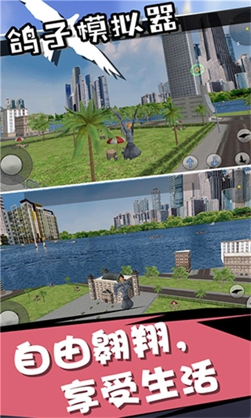 鸽子模拟器手机版(3)