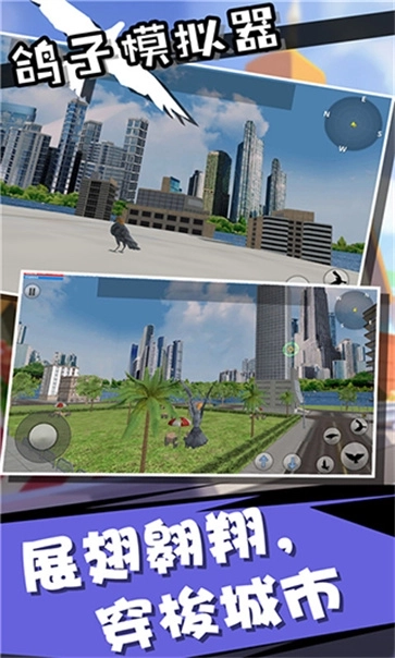 鸽子模拟器手机版(4)