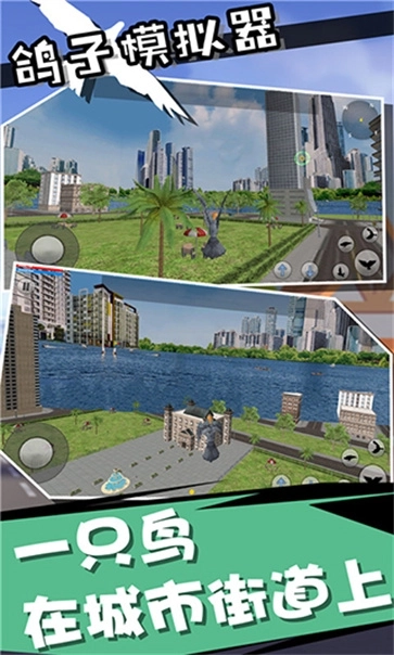鸽子模拟器手机版(5)