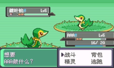 宝可梦漆黑的魅影5.0图3