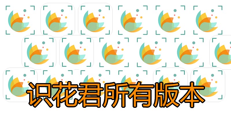 识花君所有版本