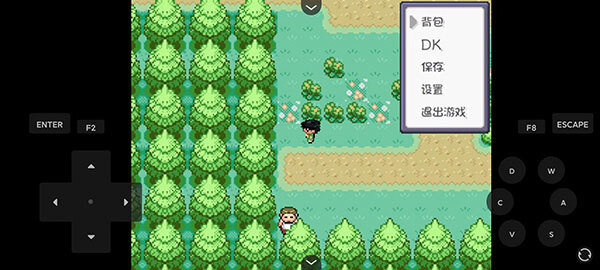 口袋妖怪燃之智3.4汉化版(2)