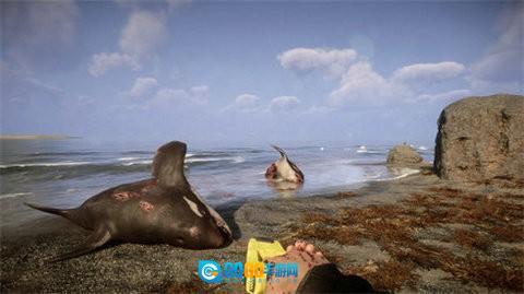 森林之子手机版图2