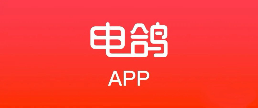 电鸽