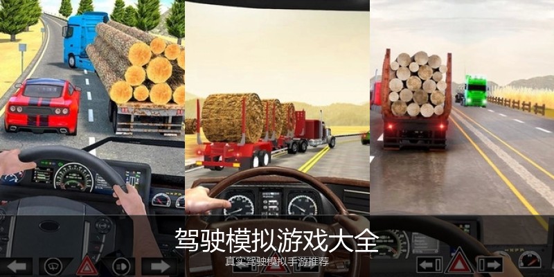 驾驶模拟游戏大全