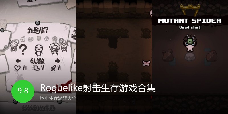 Roguelike射击生存游戏合集