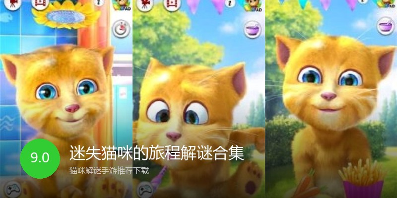 迷失猫咪的旅程解谜合集