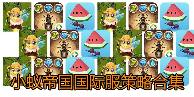 小蚁帝国国际服策略合集