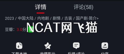 网飞猫ncat