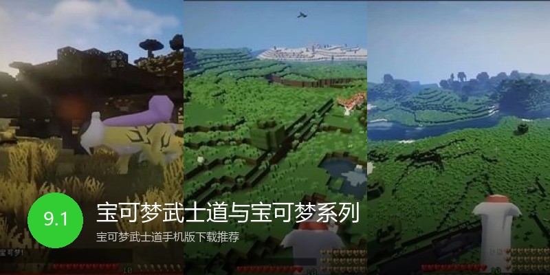 宝可梦武士道与宝可梦系列