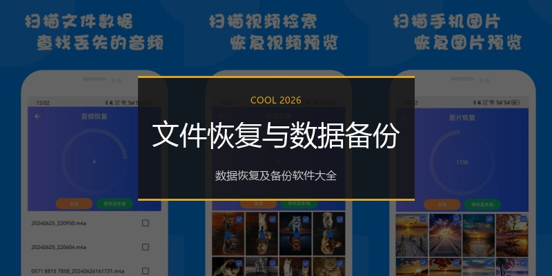 文件恢复与数据备份