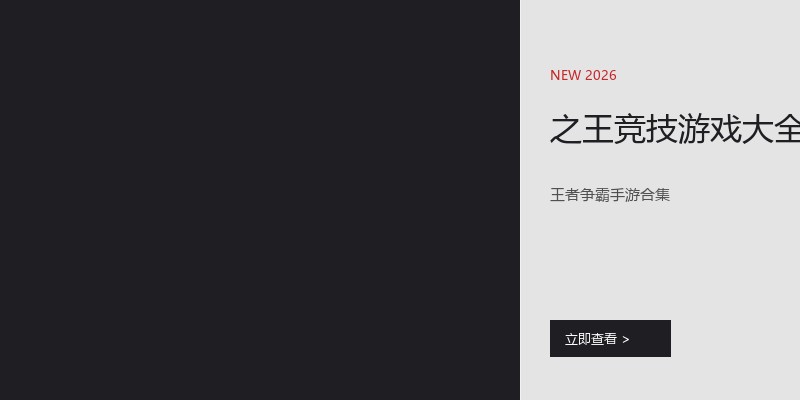 之王竞技游戏大全