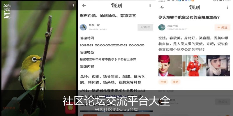社区论坛交流平台大全