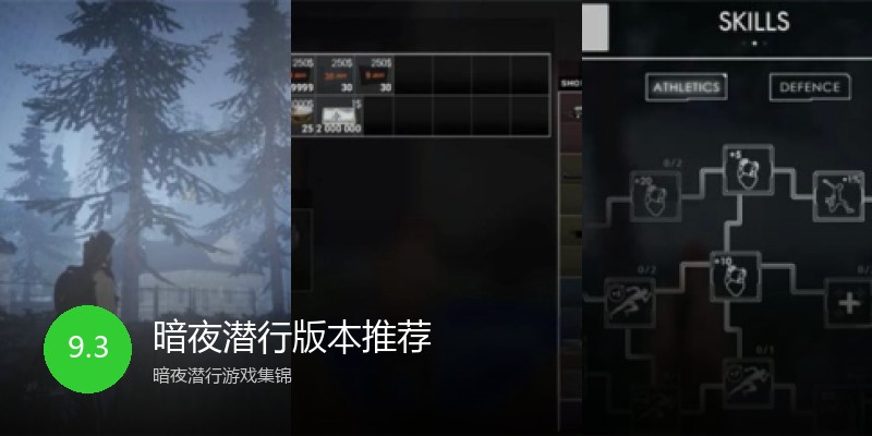 暗夜潜行版本推荐
