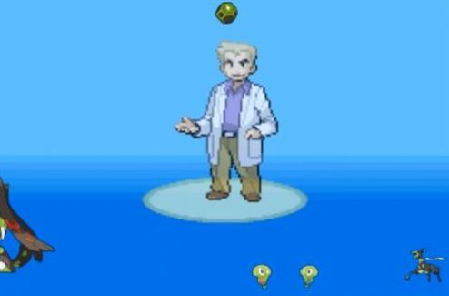 口袋妖怪激进红图2