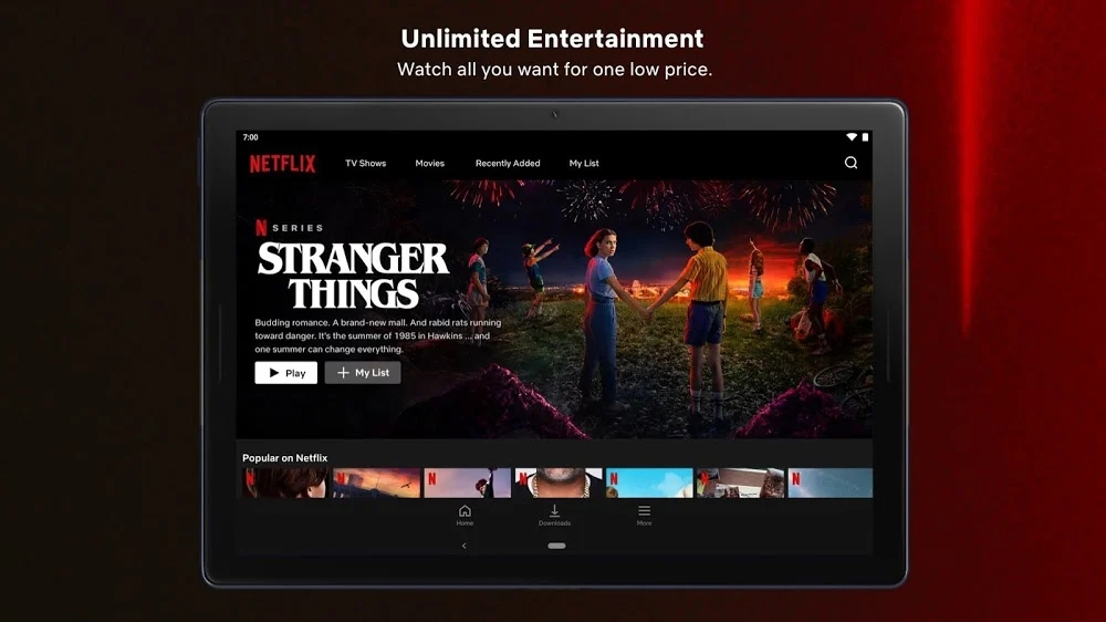 网飞netflix最新版图2