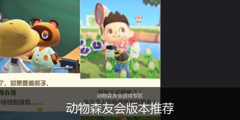 动物森友会版本推荐