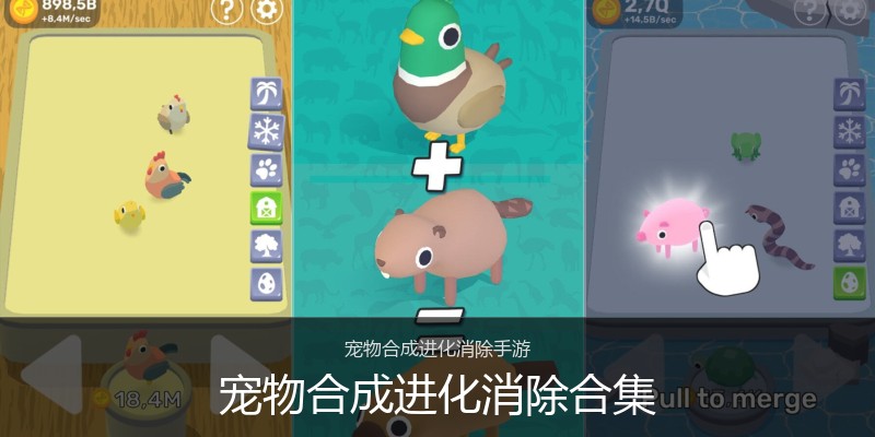 宠物合成进化消除合集