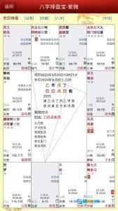 八字排盘宝图5