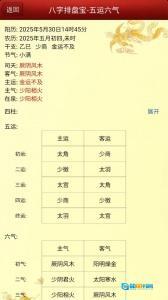 八字排盘宝图2
