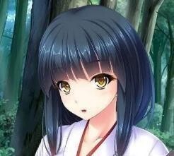 异世界后宫物语手游