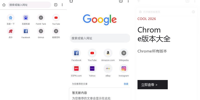 Chrome版本大全