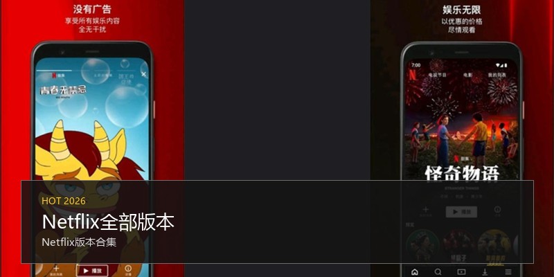 Netflix全部版本