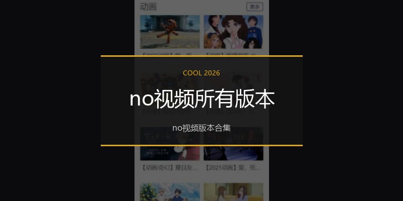 no视频所有版本