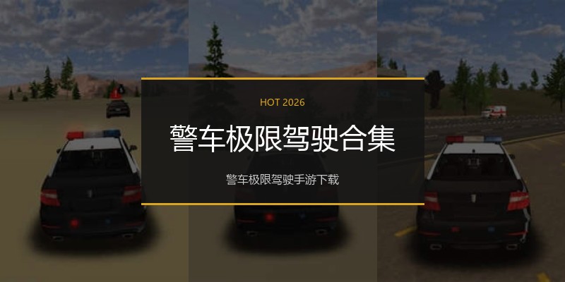 警车极限驾驶合集