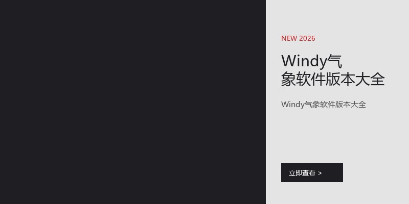 Windy气象软件版本大全