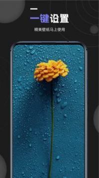 我的壁纸官方正版图4