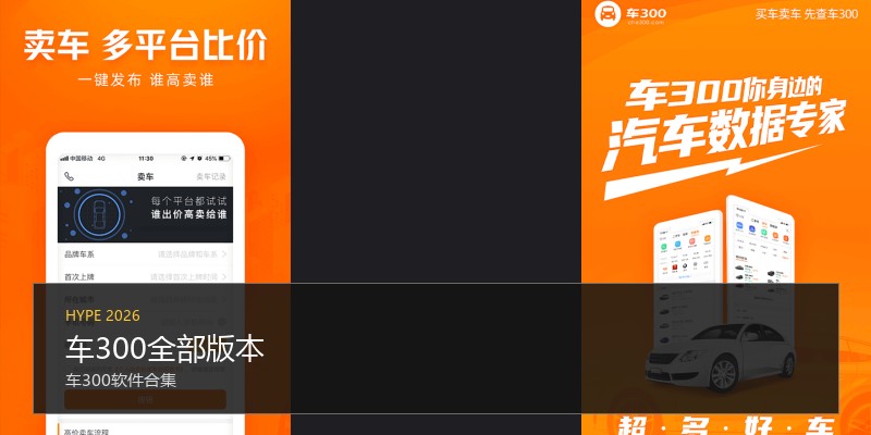 车300全部版本
