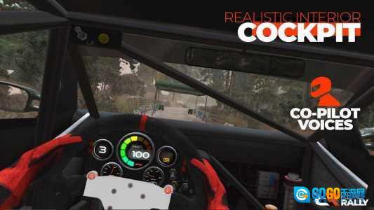 真正的拉力赛图2