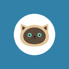 browser浏览器手机版