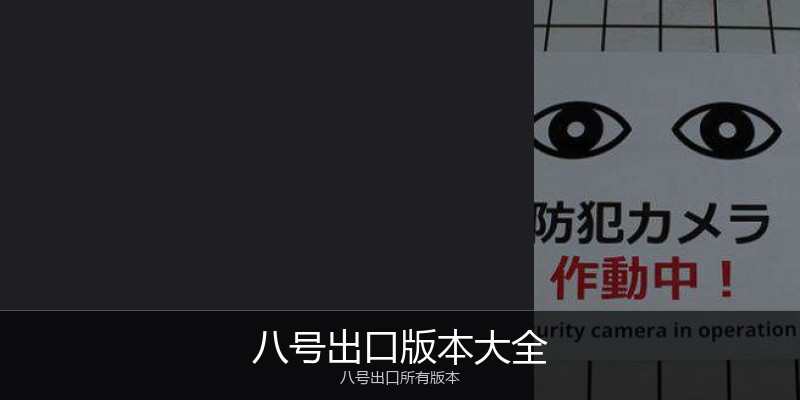 八号出口版本大全