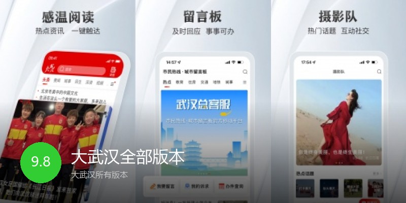 大武汉全部版本