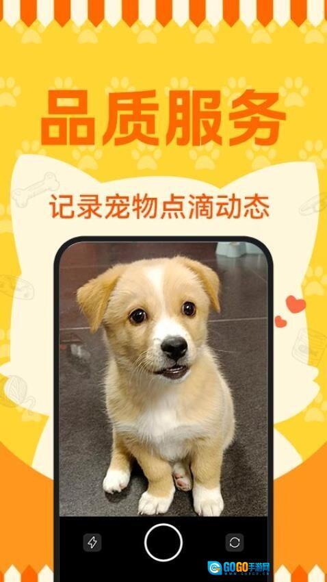 宠物寄养托管助手图4