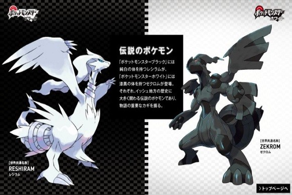 口袋妖怪黑白最新免费版(2)