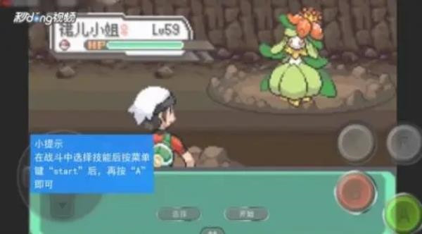 口袋妖怪增强绿宝石游戏最新版图5