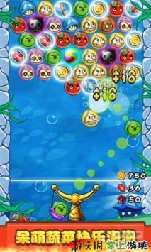 燃烧的蔬菜新年中文版截图