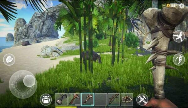 最后的海盗岛屿生存官方版截图