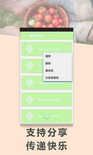 变声专家正版图2