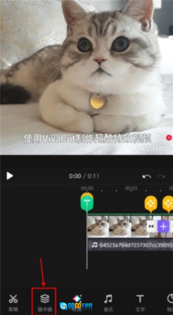 VivaCut国际版图1