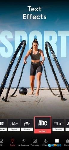 VideoLeap专业版图4