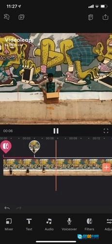 VideoLeap专业版图7