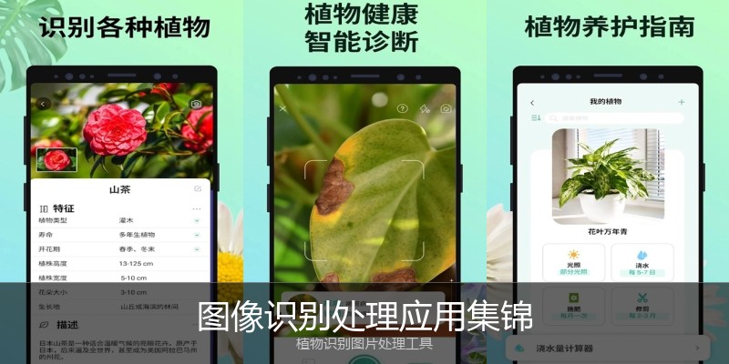 图像识别处理应用集锦