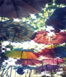 KiraDroid安卓官方版图2