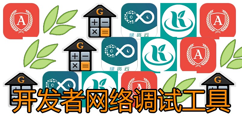 开发者网络调试工具