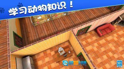 我的动物王国图4